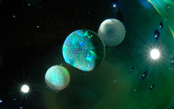 2.1_recko universe1.jpg (67 KB)